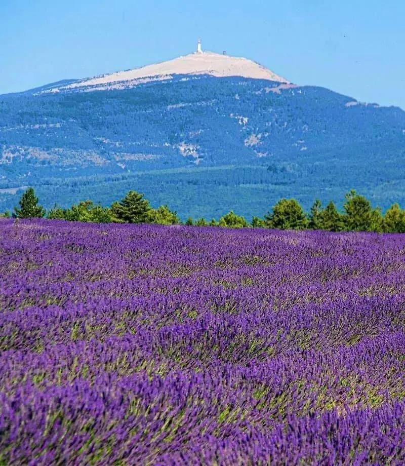 Domaine Du Moulin De Villefranche Pernes-les-Fontaines Guest house